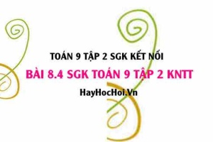 Bài 8.4 SGK Toán 9 tập 2 Kết nối tri thức